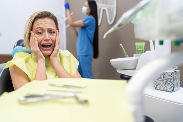 Best 24-Hour Emergency Dental Care in Shorewood Tower Hills Harbert, MI